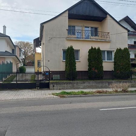 Villa Ilona Vendeghaz Heviz Bagian luar foto
